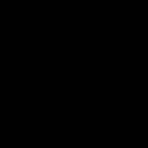 Meet your Posher, Deshuna